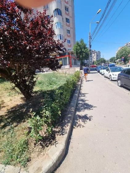 TEREN 250MP  |  CENTRAL  |  B-DUL MAMAIA - 4