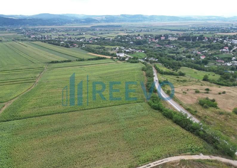 Teren de 3.600 mp Racova - 9