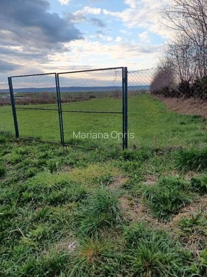 Teren Intravilan 1800mp  in Poplaca