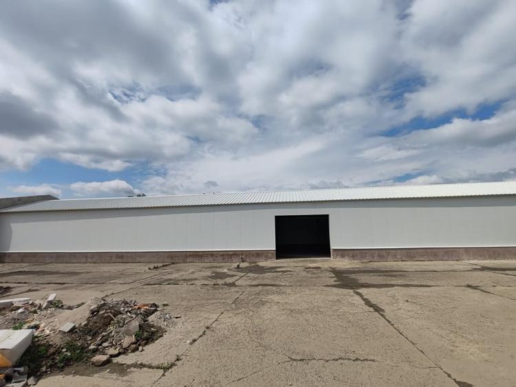 Hala de inchiriat - 320 MP, zona Complex Max, Restaurant Regal, Vaslui - 5