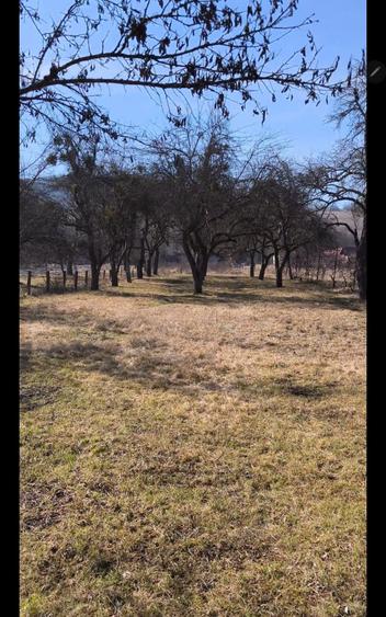 Teren intravilan, 2848 MP, Arghisu - 2