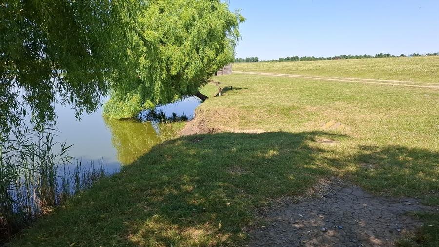 Închiriez Baltă de Pescuit – 12 Ha de Relaxare și Capturi - 6