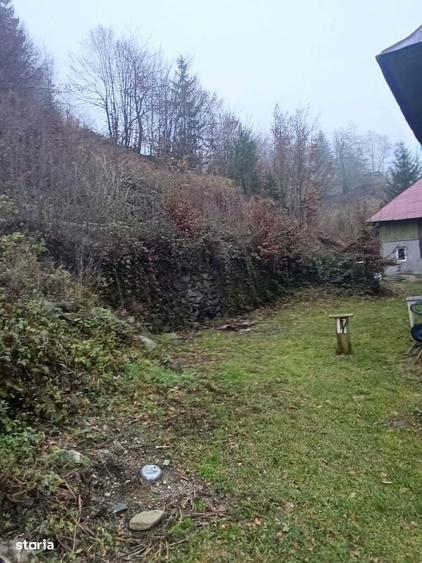 Casa , 3 camere, curte mare, lini?te,pre? negociabil - 5