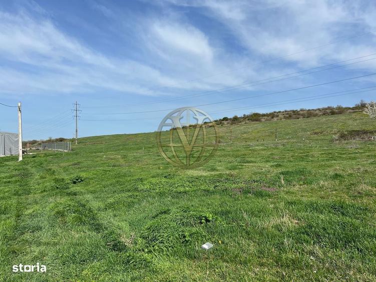 Teren intravilan, Betfia, Bihor - 3