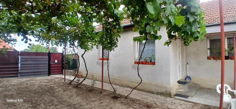 RECO Casa cu teren mare in Diosig - 5