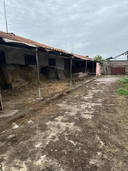 Depozit Grajd incomuna Tulca - 2