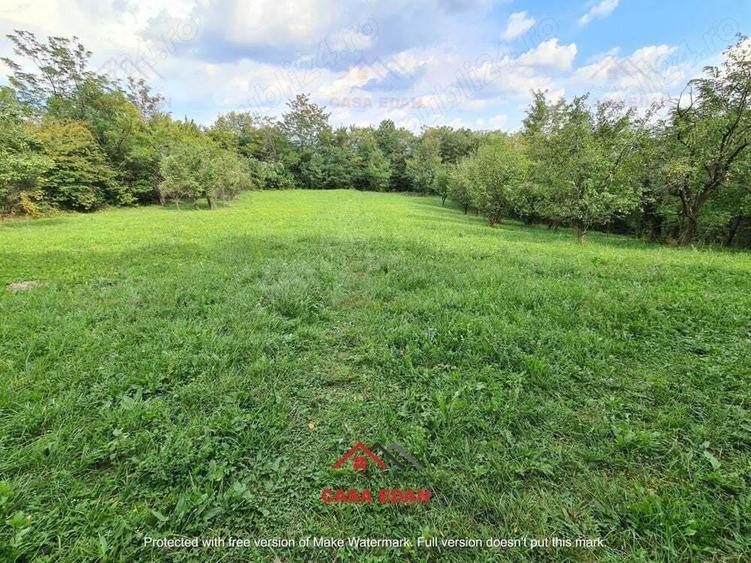 Teren intravilan in Poiana Campina--3287mp--10e - 5