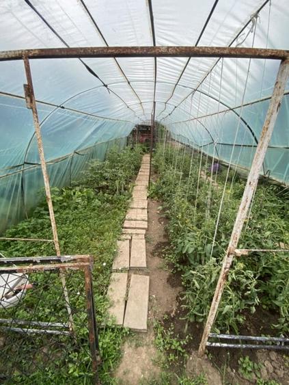 Casa cu etaj, 4 camere, Bacau - 6