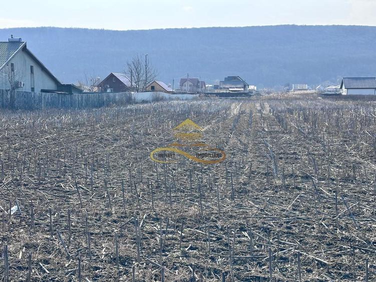 De vanzare teren intravilan Hemeius Bacau - 5