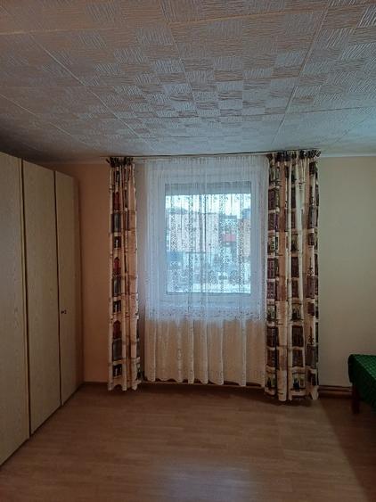 Apartament 2 camere-la vila- ultracentral- langa Aula Universitatii  - 4