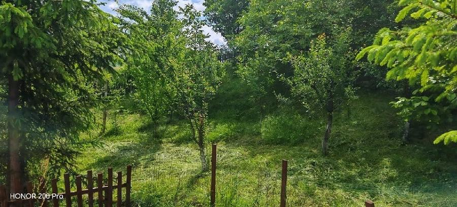 Teren de 800 mp, în Ibănești