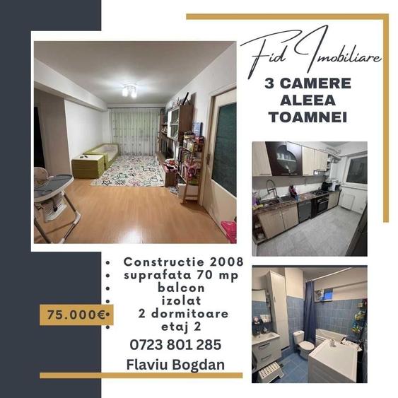 Apartament cu 3 camere decomandat în Central