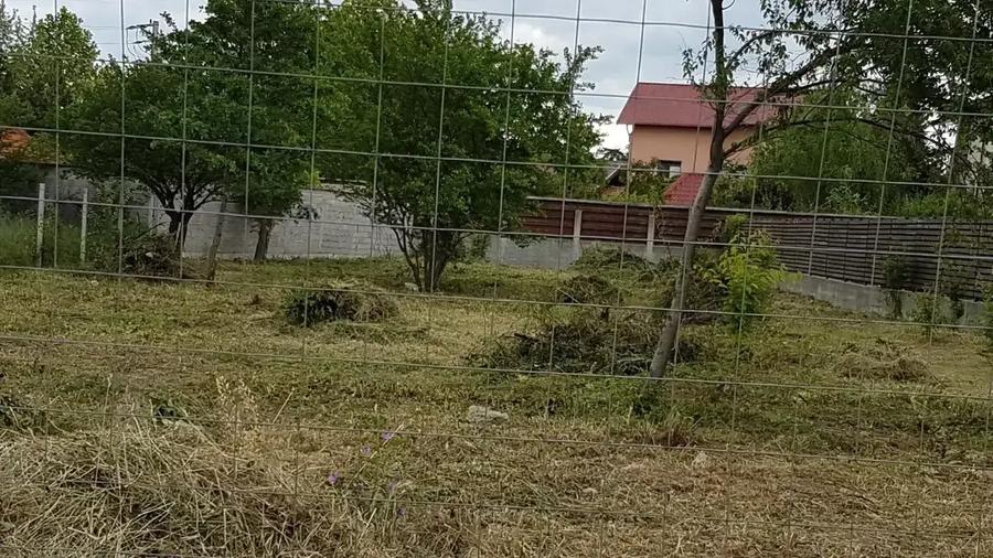 Teren intravilan de 1000 mp, în Mogoșoaia