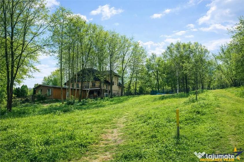 3.000mp de incantare montana cu cabana din lemn masiv, Zarne - 6