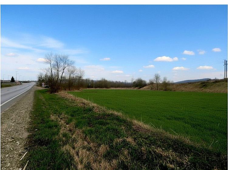 Teren Construcții extravilan de 12400 mp, în Pătrăuți