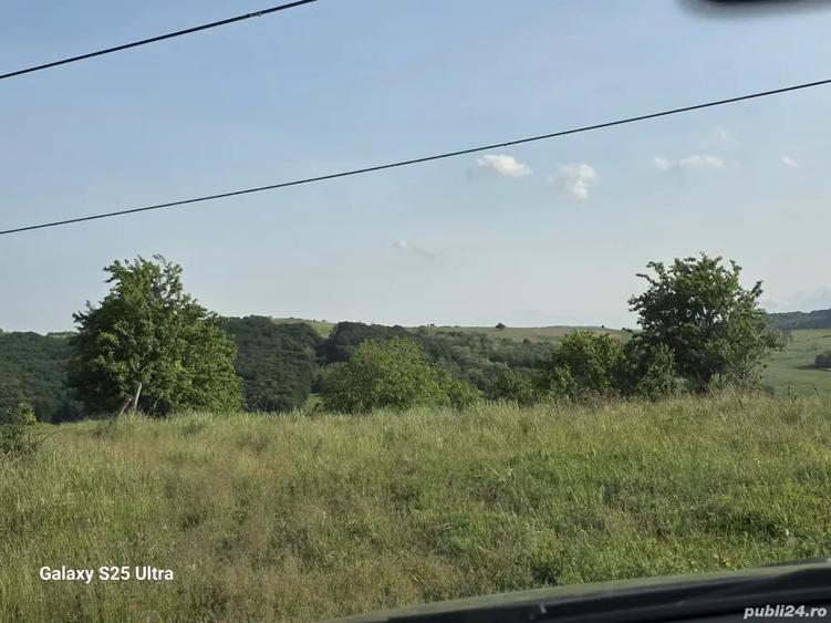 Teren de 3600 mp, în Drăgușani