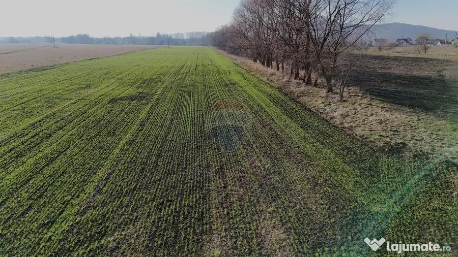 Teren de 15482 mp, în Hărman