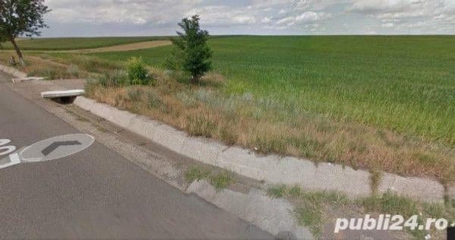 Teren de 33700 mp, în Dumbrava (Berești-Bistrița)