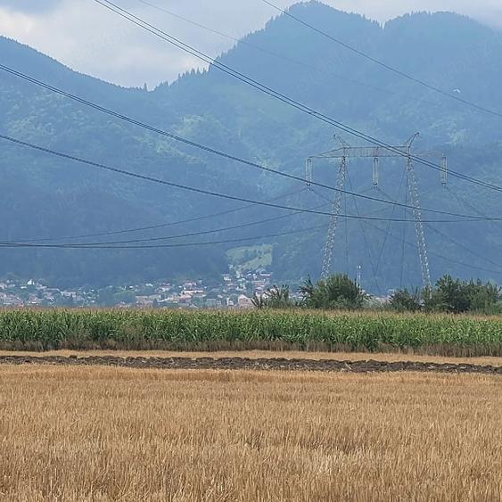Teren de 7600 mp, în Central