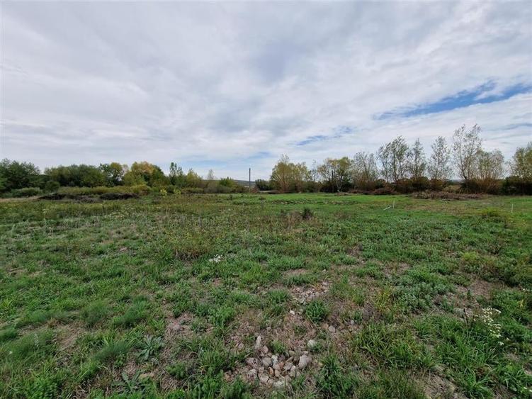 RECO teren intravilan Ineu - 4