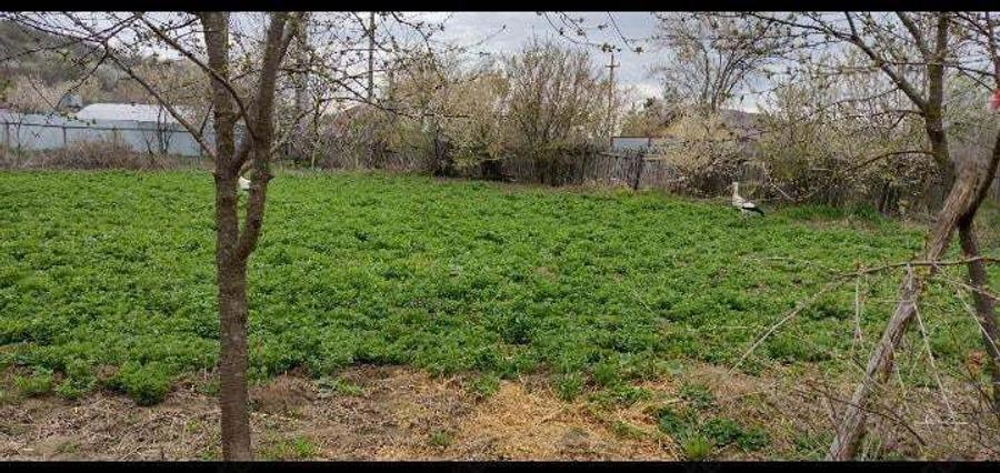 Teren si casa de vanzare - 7