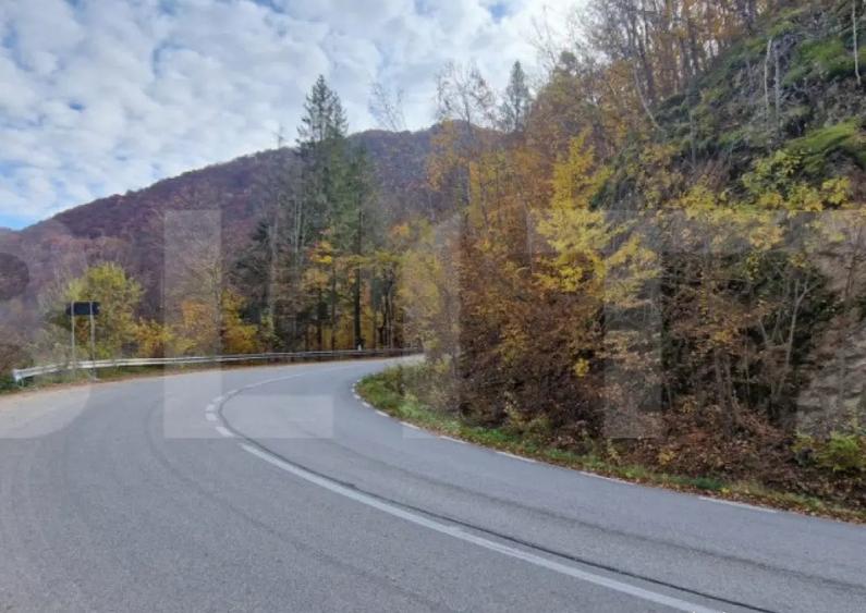 Teren extravilan 1200 mp, cu cabana, Tarnita, iesire la lac! - 1