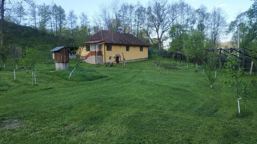 Vand casa in Hartagani - 8