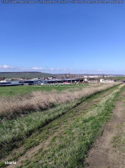 Teren intravilan industrial, iesire Pacurari, zona reprezentanta Skoda - 4