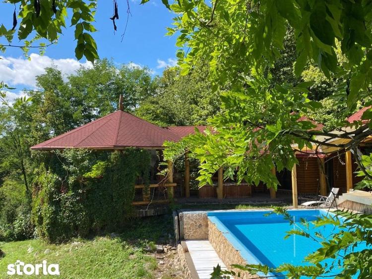 Domeniu exclusivist 17.000 mp | Vila luxury cu piscina & SPA Carbu - 16
