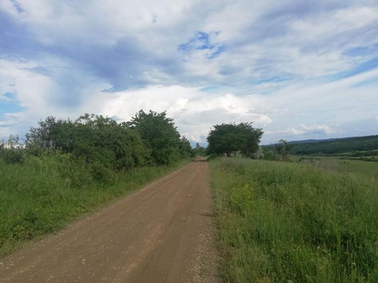 3,5 ha teren Vaculesti - 1