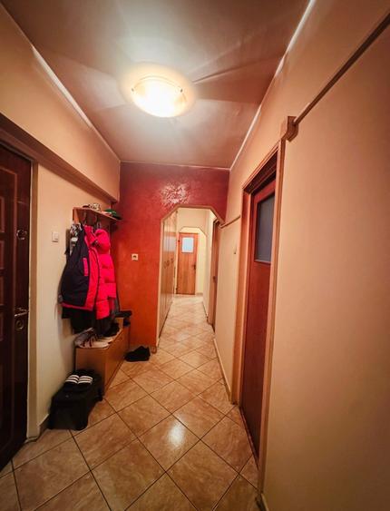 Apartament 3 camere Teiul Doamnei- Lacul Tei-parc- stradal - 3