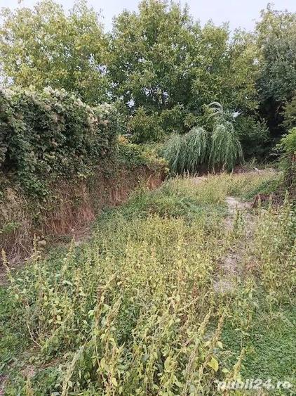 Potigrafu Crivina - 12