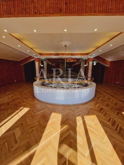 VANZARE VILA | HALA IN VLADICEASCA | SNAGOV | 10.500 MP TEREN - 11