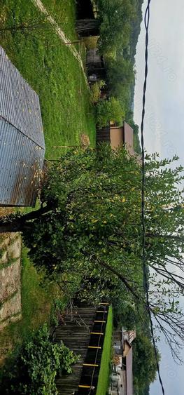 Vand Casa (P+E) ?i Teren sat Nisipoasa, com Plopu, jud. Prahova - DIRECT PROPRIETAR - 4