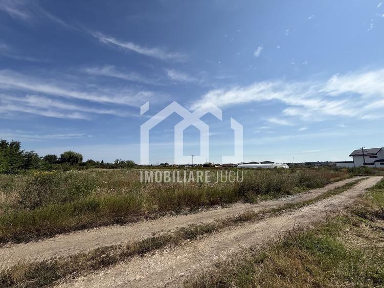 Teren Construcții intravilan de 1453 mp, în Jucu de Mijloc