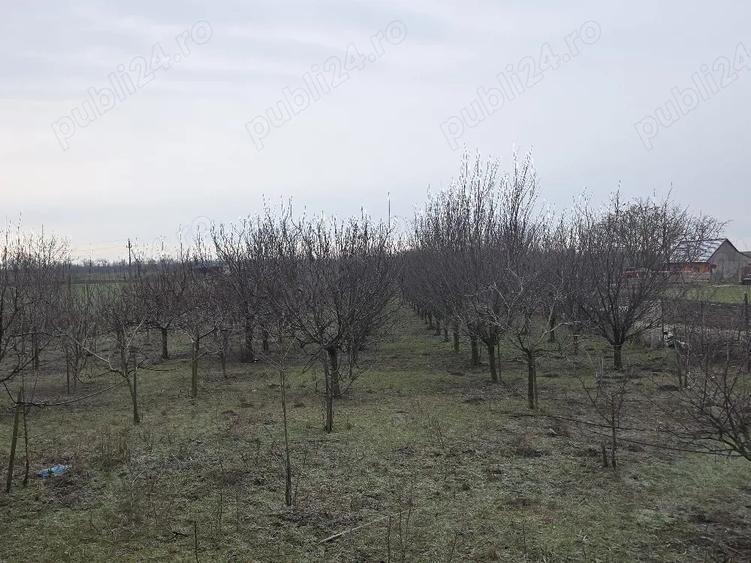 Vand casa Semlac - 5