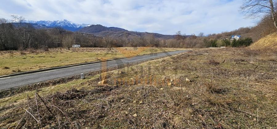 Vanzare teren 3200 mp, Cheile Rasnoavei, str. Cheisoara - 1