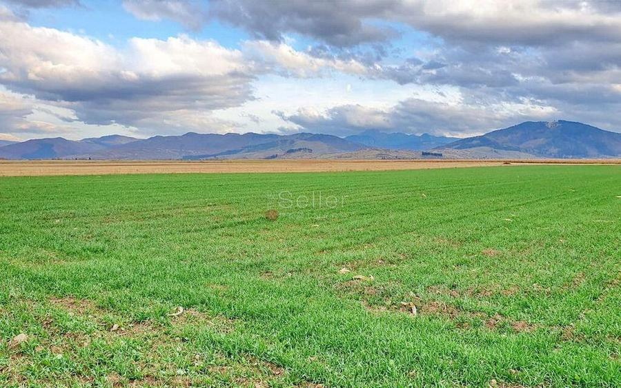 Teren extravilan Tarlungeni - 5