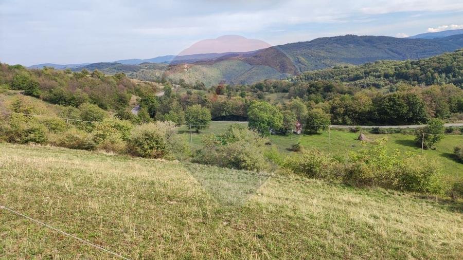 Teren constructii si faneata/livada 3082 mp Damis Bratca drum DJ 764D - 1