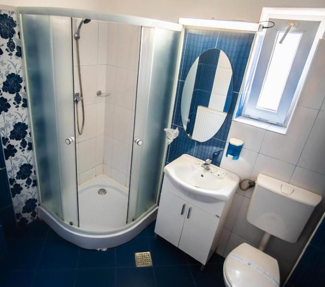 Vanzare Vila Panseluta - Pensiune/Vila turistica deosebita Pucioasa - 11