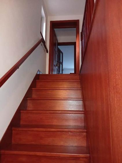 Inchiriere Vila individuala Berceni-Giurgiului - 34