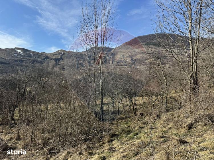 Casa din piatra la poalele Bedeleului Izvoarele, Alba - 2