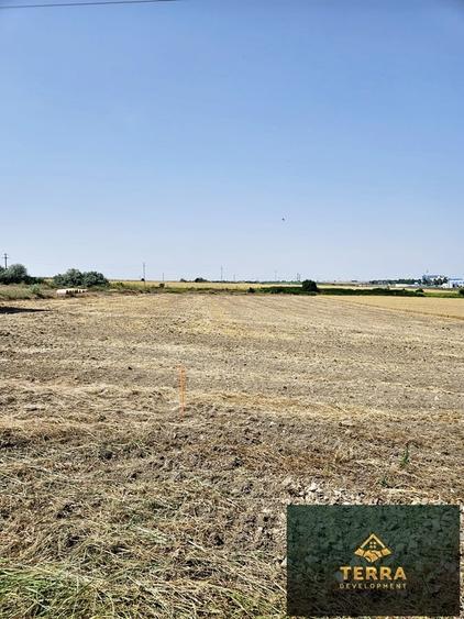 Loturi de teren , vis-a-vis de Insula Ovidiu - 2