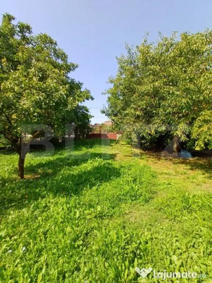 Casa 4 camere in Viisoara, langa Campia Turzii - 5