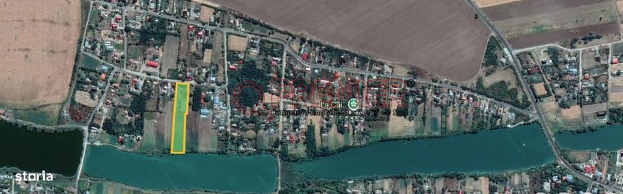 Teren intravilan 6230 mp Ileana,Calarasi | Deschidere la lac | - 4