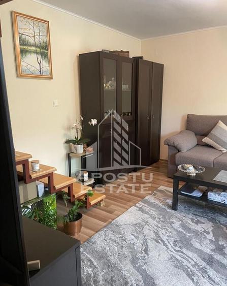 Casa individula cu 4 camere, zona Cetatii - 11