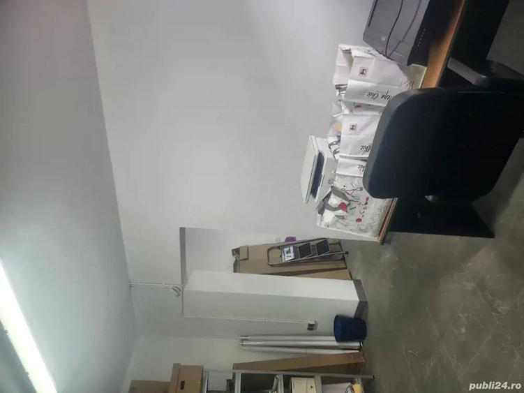 Demisol de vanzare - 6