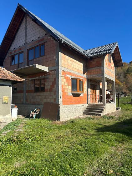 Casa batraneasca + casa noua la rosu, teren 6.900 mp Cotmeana, Arges - 1