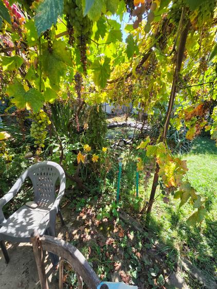 Crangasi, Lacul Morii, casa individuala 230 mp utili, 510 mp teren - 34