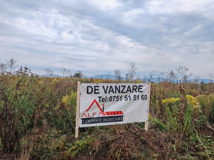 Teren de Casa - Harman - Brasov - 1